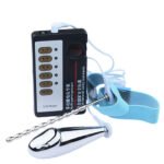 Plug dương vật