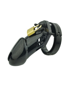 Khoá dương vật CB6000S