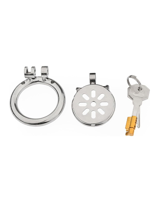 Set 2 món xung điện e-stim khoá dương vật và phích cắm hậu môn inox - Ảnh 5